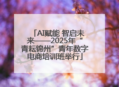 AI赋能 智启未来——2025年“青耘锦州”青年数字电商培训班举行